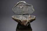 Amazing Quartz Geode Display on Stand - Spectacular #351499-2